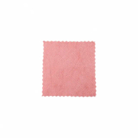 【原家居】珊瑚絨抹布-25*25cm 10入(洗碗布 吸水抹布 擦手巾 廚房抹布 擦車布 超細纖維抹布 吸水巾 抹布)