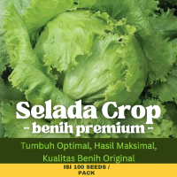 Griya Benih - 100 Biji Benih Sayuran Unggul Selada Crop / Selada Bokor