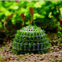 1PC Live Plants Holder Fish Tank Media Moss Ball Filter Aquarium Moss Tree Aquatic Pets Mineral Aquarium Decoration