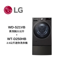 LG樂金 TWINWash WD-S21VB+WT-D250HB蒸洗脫 21公斤+2.5公斤洗衣機
