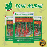 Q&J2 Benih Cabe Hibrida Keriting RED LAVA Takii Seed TERMURAHCG988
