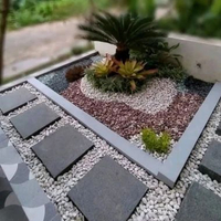 Taman kering pohon sikas minim budget(gratis steping stone)