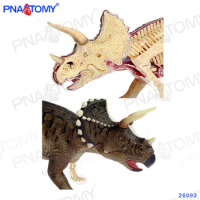 4D Dinosaur Triceratops Model Dino Anatomy Skeleton DIY Educational Gift STEM Equipment Detachable Master 26093
