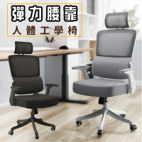 ALTO Model-X人體工學網椅/電腦椅/辦公椅(2色可選)