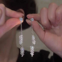 Anting-anting Kristal, Rumbai Panjang Elegan, Untuk Wanita, Rekaan Niche Mewah Mampu Milik, Kesan Mu