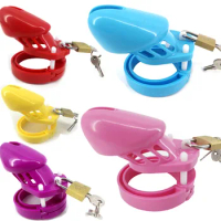 Chastity Cage 7 Colors CB6000s Plastic Male Chastity Devices Penis Sleeve Chastity Lock Penis Restraint Bondage BDSM Sex Toys
