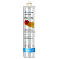 PENTAIR EVERPURE 愛惠浦 PBS400 替換濾芯 PBS-400 (EV9270-86)