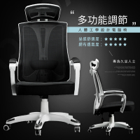 STYLE 格調 尊爵機能護腰人體工學電腦椅/辦公椅(活動頭枕/PU靜音滑輪)