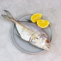 Ikan Kuwe Bulet 500 gram