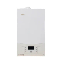 ROC 20KW 24KW 26KW Modern Look Condensing Gas Boilers Instant Hot Water Gas Water Heater 220V Room Heating Indoor for Home