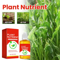 Plant Nutrients Indoor House Plants Effective Nutrient Fertilizer for Plant 50ml Hydroponic Nutrients Plant Food for Hydroponics