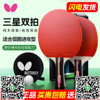 蝴蝶乒乓球拍雙拍四三星小學生專用初學者兒童兵乓球套裝橫拍直拍-淘淘屋
