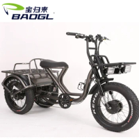 Long Driving Range 2 Motors 2 Battery Electric Three Fat Wheeler Cargo Bike