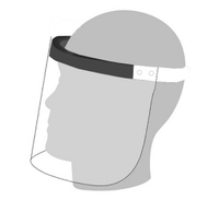 現貨 台灣製 防護面罩 防疫面罩 30 x 42.5 cm /個 F88