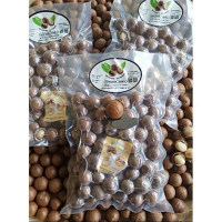 จัดส่งฟรี กทม แนะนำ แมคคาเดเมีย กะลา (1kg) ไซร์ใหญ่ อบธรรมชาติ100%