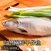 【鮮綠生活】台灣極鮮午仔魚350g-400g