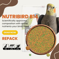 Nutribird B14 Pallet (REPACK VERSION) Verselaga