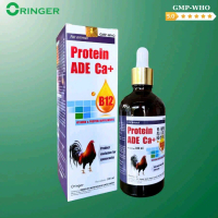 100ml Protein ADE Ca+, Protein B12 nhân sâm chuyên dùng cho gà đá, thuốc nuôi gà tơ