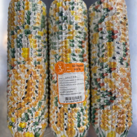 กระทงกระดาษ 3219 ลาย Lemon (แพ็ค 800 ใบ)