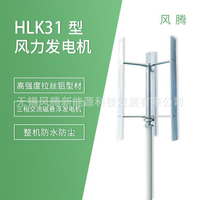 垂直豎軸2000W盤式無鐵芯發電機低阻力風力渦輪機