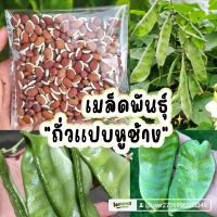 เมล็ดพันธุ์ถั่วเเปบหูช้าง100กรัม139บาท