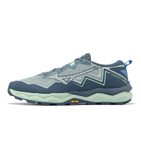 Mizuno 越野跑鞋 Wave Daichi 9 GTX 男鞋 藍 灰 防水 緩衝 黃金大底 運動鞋 美津濃 J1GJ2556-02