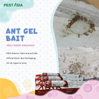 Pest Asia Eco Ant Gel Bait / Gel Semut Eko / Pest Asia Eco-friendly Ants Bait