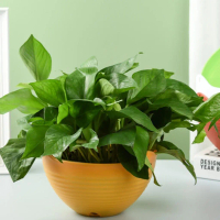 Imitation Resin Woven Flower Pot Garden Flower Pot Flower Pot Wall Hanging Plant Planting Pot Basket
