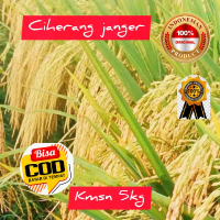 BENIH PADI SUPER UNGGUL CIHERANG JANGER KMSN 5 KG VARIETAS CERE INDICA NASI NYA PULEN DAN HASIL NYA 