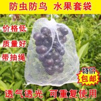 水果套袋防鳥網紗袋防蟲專用袋枇杷葡萄桃子草莓保護袋耐用種植