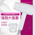 達新牌 TS-2200 超靜音輕量型吹風機 白色