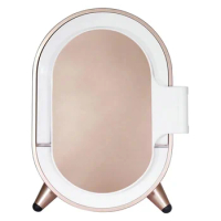 Hot Sale Magic Mirror Facial Skin Analysis Meter/3D Facial Camera