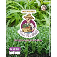 Bibit Premium Kangkung Berkualitas |Benih Premium Kangkung| Kangkung