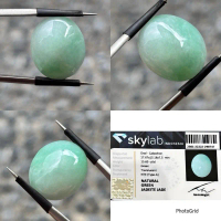 Natural Jadeite Jade Giok Burma Type A 15.69crt memo SkyLab