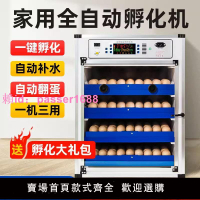 【廠家直銷】孵化機中小型家用全自動小雞孵化器蘆丁雞孵蛋器雞蛋
