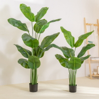 仿真綠植 發財樹 仿真植物 盆栽 盆景新款仿真綠植旅人蕉天堂鳥盆栽 室內家居裝飾擺件仿真植物美人蕉