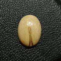 Batu Fosil Kayu Jati Motif Sodo Lanang