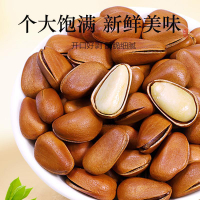 New Arrival Extra Large Open Pine Nuts   Northeast Specialty Pine Nuts Dried Fruit Snacks Pine Seeds