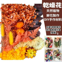 【A-ONE】乾燥花材 光彩奪目 安娜繡球花 花材 乾燥花材 乾燥花 DIY浮游花 不凋花 永生花 捧花 C07