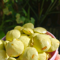 Jengkol Muda Fresh 1kg Ambil Pohon  Saat Pesan