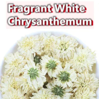 Wholesale Top White Chrysanthemum Dried Flower For Sachet Pillow Filling Natural Feverfew Perfume Ma