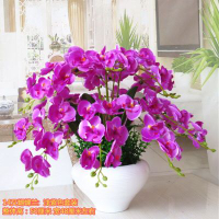蝴蝶蘭仿真花盆栽假花客廳臥室擺放花藝裝飾花塑料花干花絹花假花