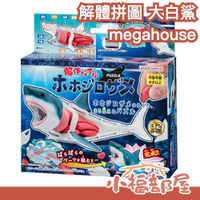 日本 megahouse 解體拼圖 大白鯊 公仔 模型 教育 生物 動物 玩具 益智 兒童節 禮物 組裝【小福部屋】