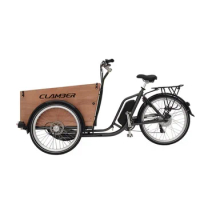New hot selling Nanyang Family cargo tricycle electric cargo bike