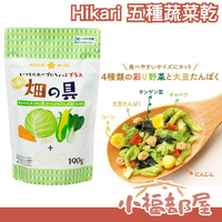日本 Hikari miso 畑的具五種蔬菜乾 190g 乾燥蔬菜 簡單料理 方便料理 味增湯 泡麵 炒菜配料【小福部屋】