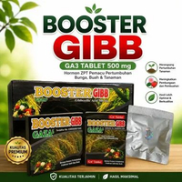 Hormon ZPT GA3 Tablet BOOSTER GIBB Gaza 500mg Pupuk Pemacu Pertumbuhan Bunga Buah Tanaman