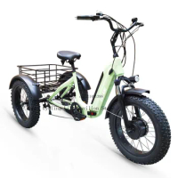 Folding Electric Bike for Adults,3 Wheel,Tricycle,Fat Tire,Cargo Bike,Bicycle,Aluminum Alloy,48V,500W,20 Inch,Range 40km,20km/h