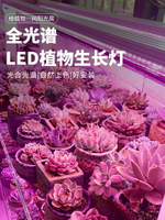 植物照燈 妙居 多肉補光燈上色全光譜led家用室內花卉層架仿太陽植物生長燈【MJ5577】