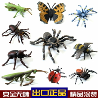 兒童仿真昆蟲動物模型蜜蜂蝴蝶螞蚱螞蟻螳螂七星瓢蟲蜘蛛整蠱玩具