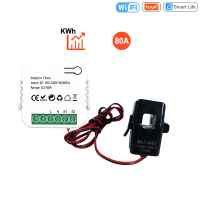 MALAKU MALL Tuya Smart Energy Meter 80A WiFi with Current Transformer Clamp kWh - ST-1168